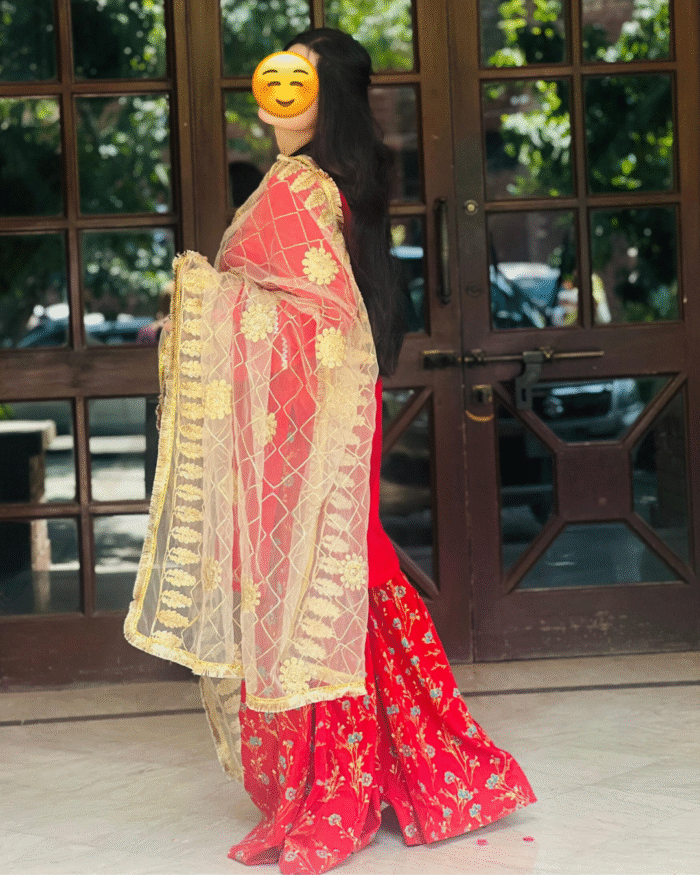 red muticolour Sharaara with Golden embroidery Duptta - Image 1