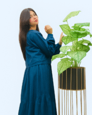 Teal Blue Co-Ord Set for Women – Stylish Long Skirt & Tie-Front Shirt | Elegant Casual & Party Wear