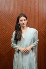 Embroidered Mint Green Silk Dress with Sheer Dupatta - Image 3
